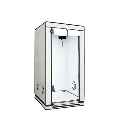 خيمة النمو المحيطة