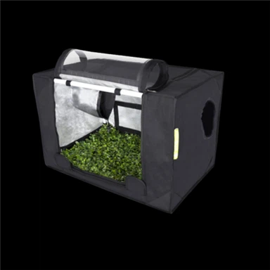 خيام التكاثر