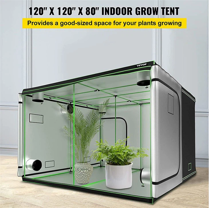 10x10 Grow Tent