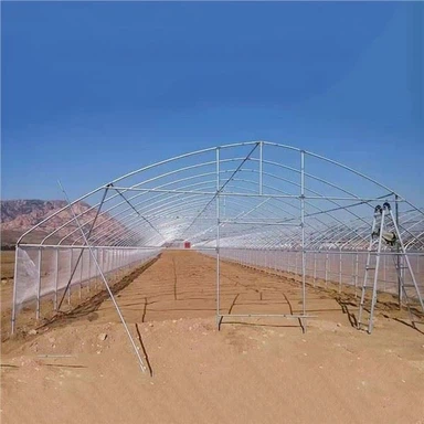 فيلم الدفيئات